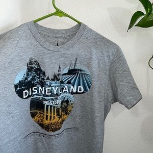 Disneyland Park Gray Shirt
